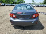 2010 Toyota Corolla Base Gray vin: 1NXBU4EE9AZ170260