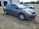 2010 Toyota Corolla Base Gray vin: 1NXBU4EE9AZ170260