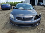 2010 Toyota Corolla Base Gray vin: 1NXBU4EE9AZ170260