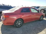 2010 Toyota Corolla Base Red vin: 1NXBU4EE9AZ187060