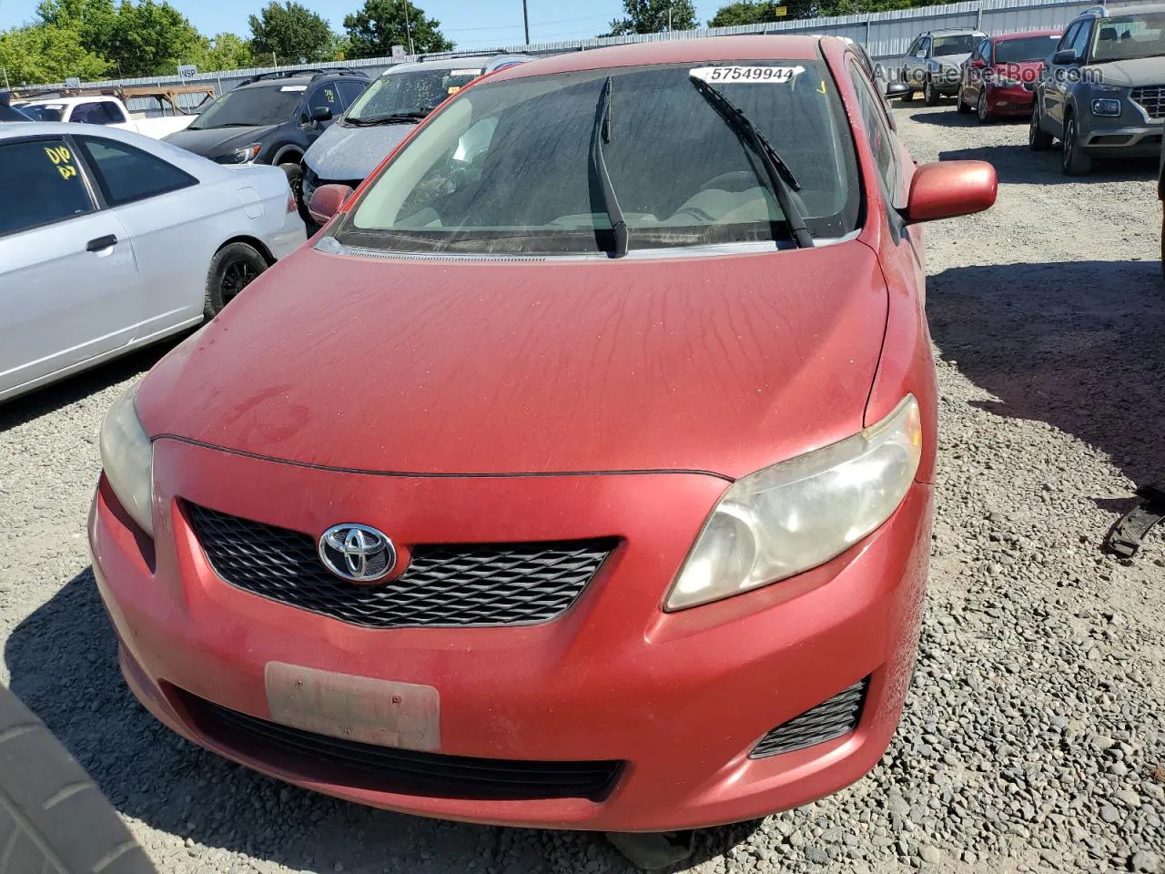 2010 Toyota Corolla Base Red vin: 1NXBU4EE9AZ187060