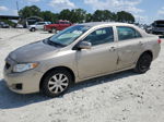 2010 Toyota Corolla Base Tan vin: 1NXBU4EE9AZ205556