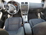 2010 Toyota Corolla Base Белый vin: 1NXBU4EE9AZ207257