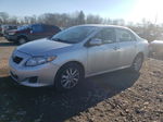 2010 Toyota Corolla Base Silver vin: 1NXBU4EE9AZ223863