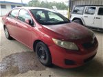 2010 Toyota Corolla Base Red vin: 1NXBU4EE9AZ285280