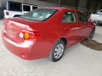 2010 Toyota Corolla Base Red vin: 1NXBU4EE9AZ285280