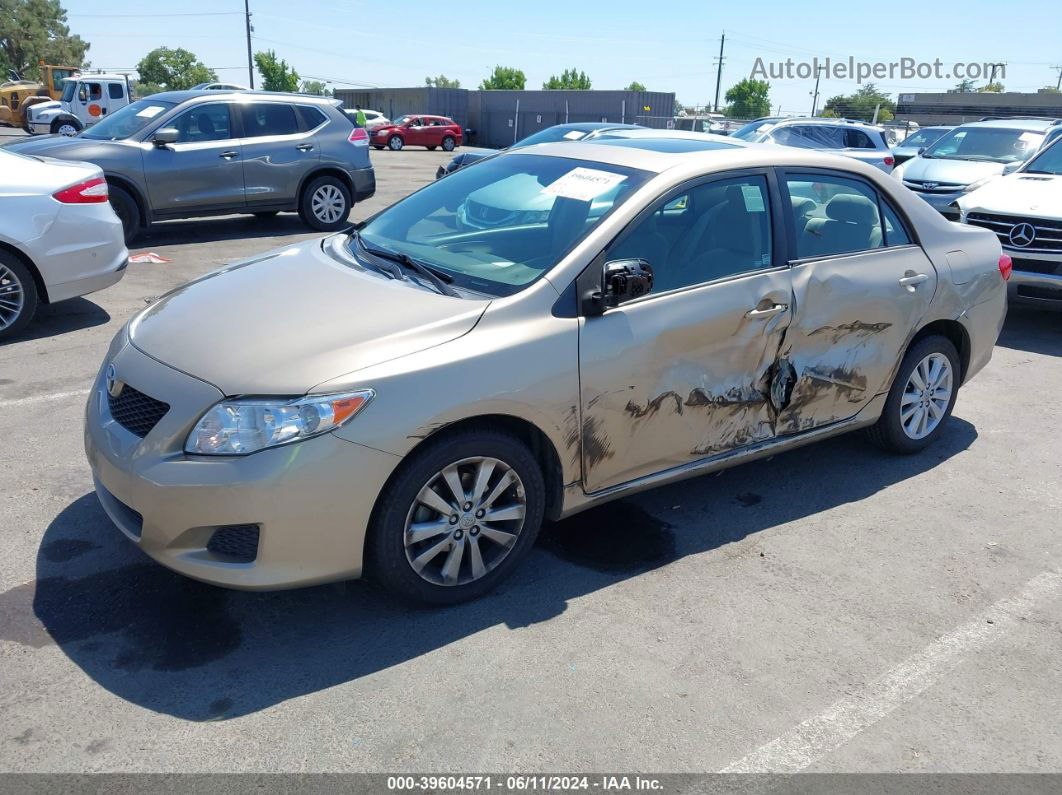 2010 Toyota Corolla Xle Gold vin: 1NXBU4EE9AZ298076