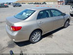 2010 Toyota Corolla Xle Gold vin: 1NXBU4EE9AZ298076