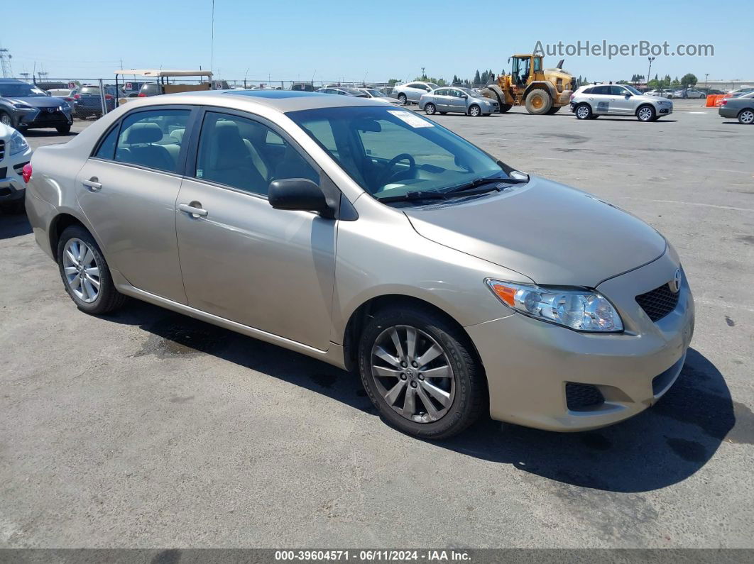 2010 Toyota Corolla Xle Gold vin: 1NXBU4EE9AZ298076