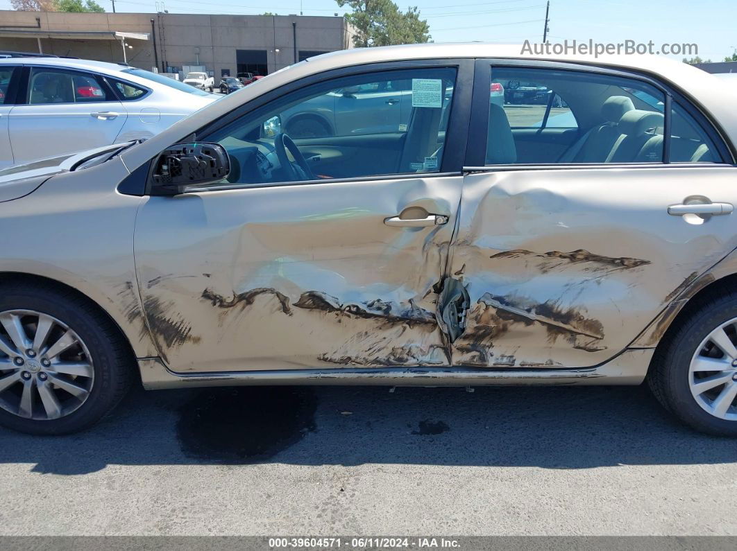 2010 Toyota Corolla Xle Gold vin: 1NXBU4EE9AZ298076