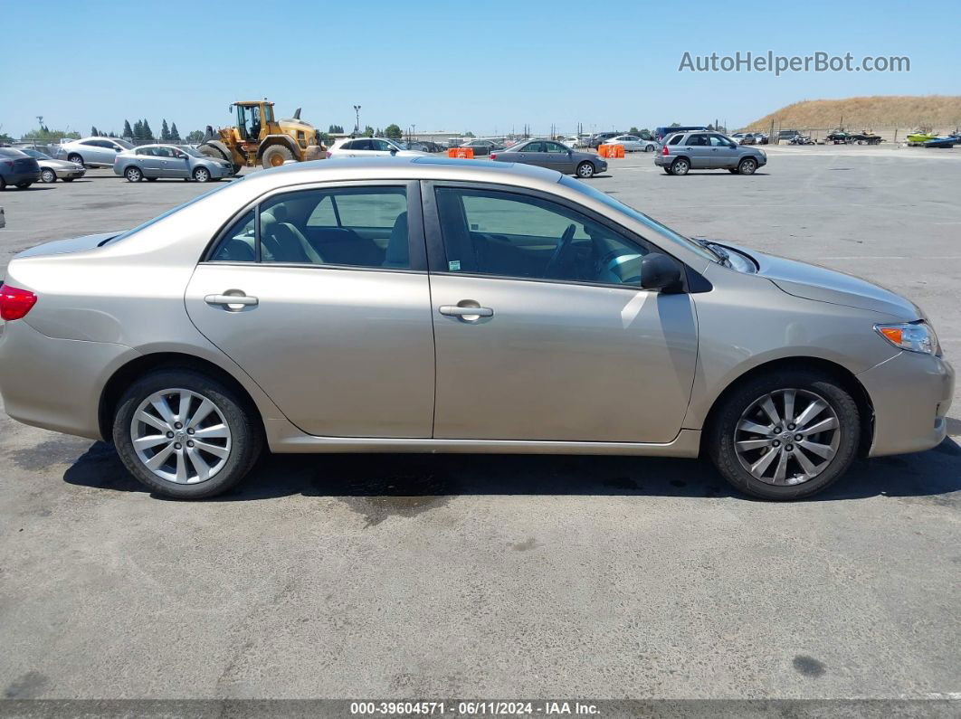 2010 Toyota Corolla Xle Gold vin: 1NXBU4EE9AZ298076