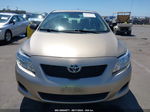 2010 Toyota Corolla Xle Gold vin: 1NXBU4EE9AZ298076