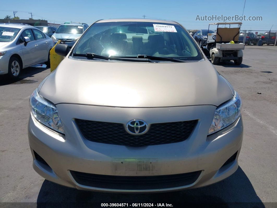 2010 Toyota Corolla Xle Gold vin: 1NXBU4EE9AZ298076