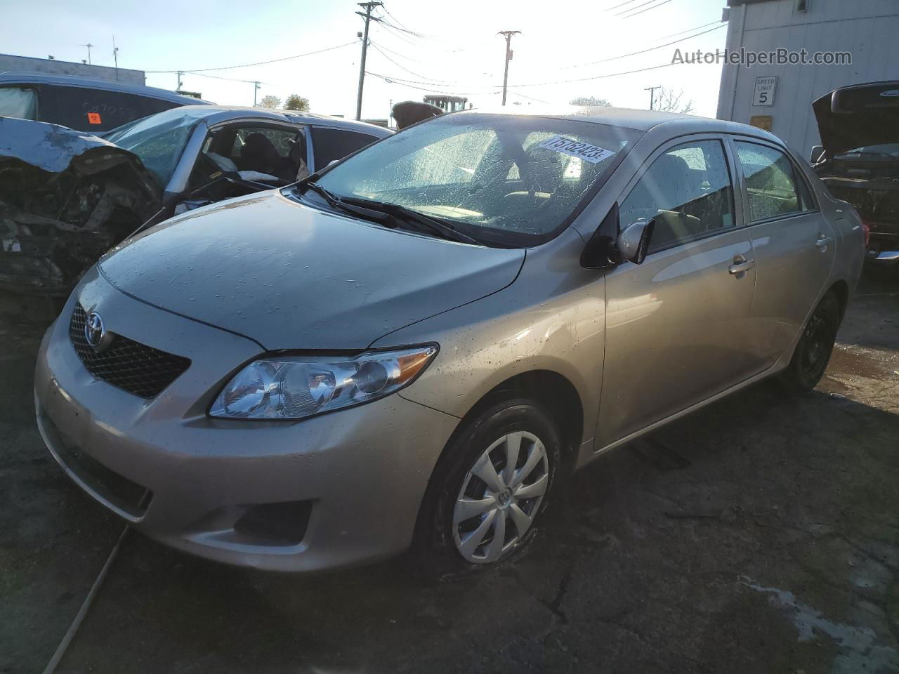 2010 Toyota Corolla Base Gold vin: 1NXBU4EE9AZ323672