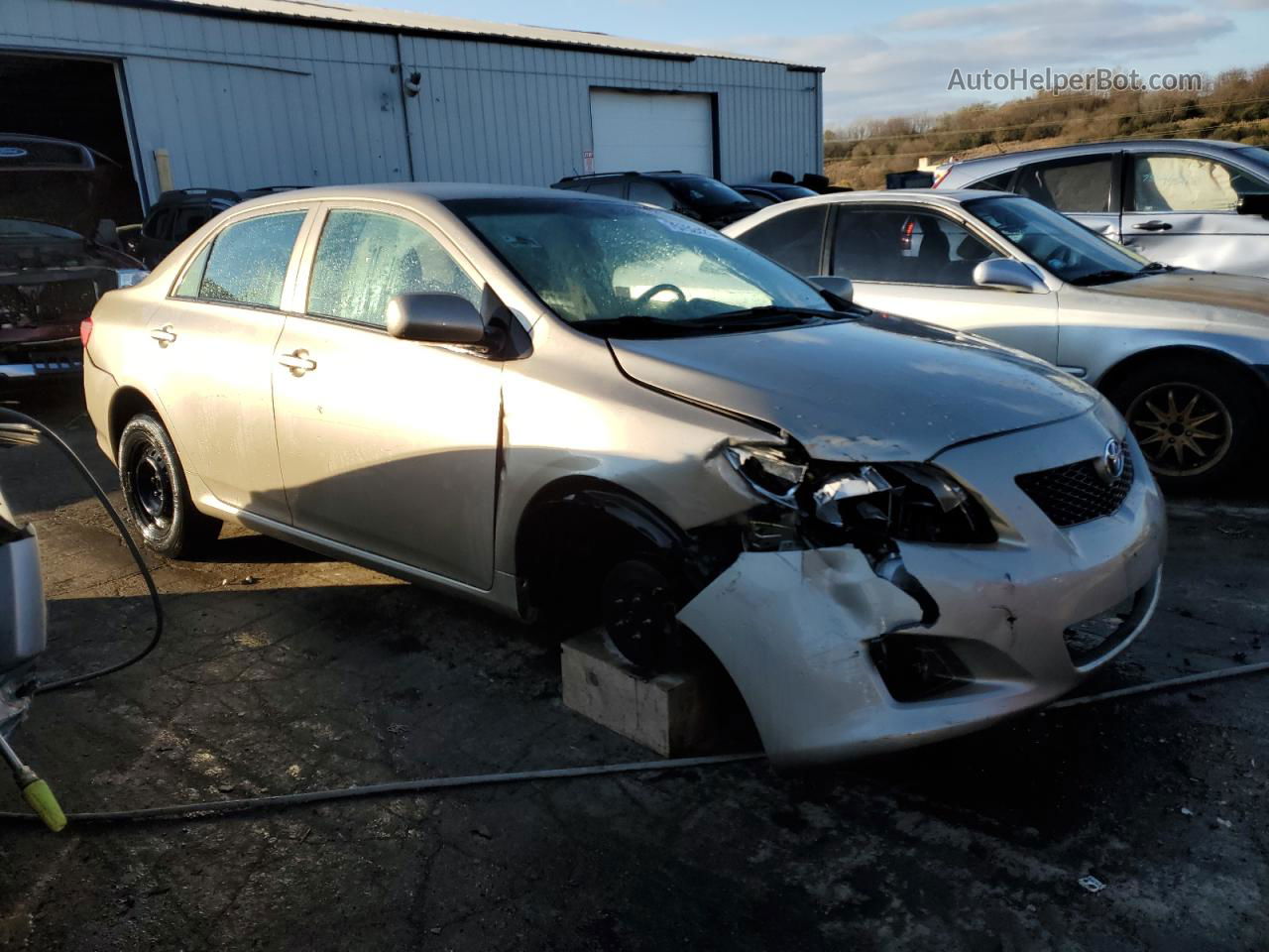 2010 Toyota Corolla Base Gold vin: 1NXBU4EE9AZ323672