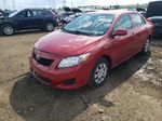 2010 Toyota Corolla Base Red vin: 1NXBU4EE9AZ348071