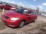 2010 Toyota Corolla   Maroon vin: 1NXBU4EE9AZ380714