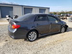 2010 Toyota Corolla Base Gray vin: 1NXBU4EE9AZ385704