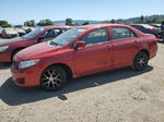 2010 Toyota Corolla Base Red vin: 1NXBU4EEXAZ166038