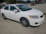 2010 Toyota Corolla Base White vin: 1NXBU4EEXAZ294201