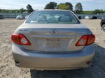 2010 Toyota Corolla Base Tan vin: 1NXBU4EEXAZ307836