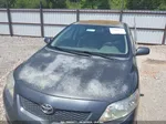 2010 Toyota Corolla Le Silver vin: 1NXBU4EEXAZ321414