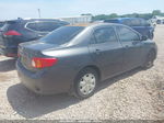 2010 Toyota Corolla Le Silver vin: 1NXBU4EEXAZ321414