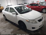 2010 Toyota Corolla Le White vin: 1NXBU4EEXAZ383427