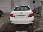 2010 Toyota Corolla Le White vin: 1NXBU4EEXAZ383427