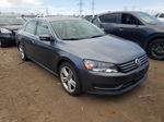 2014 Volkswagen Passat Se Gray vin: 1VWBS7A37EC054807