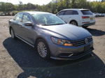 2017 Volkswagen Passat Se Gray vin: 1VWBT7A30HC000511