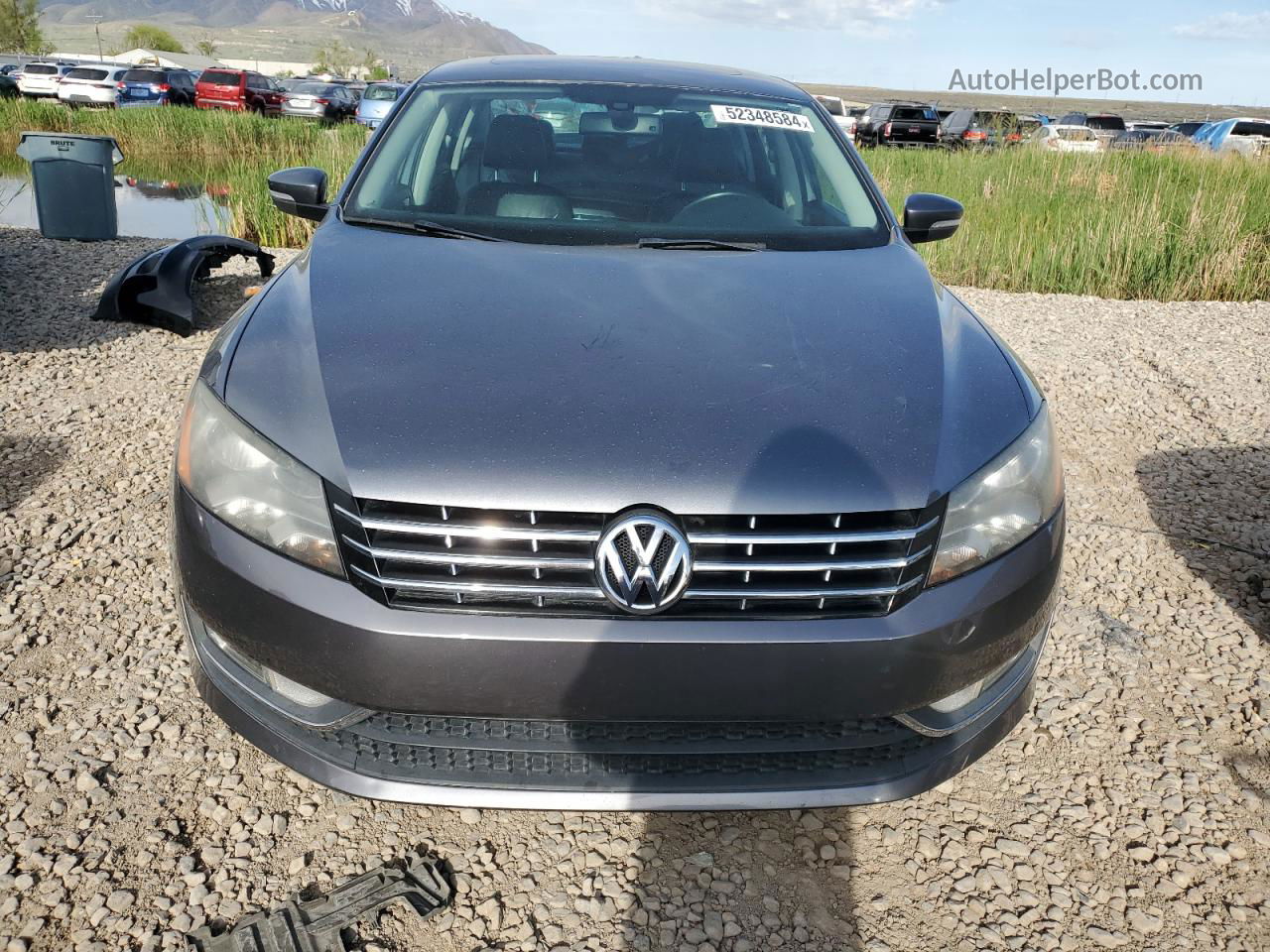 2014 Volkswagen Passat Sel Gray vin: 1VWCN7A30EC046611