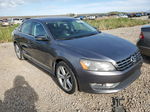 2014 Volkswagen Passat Sel Gray vin: 1VWCN7A30EC046611