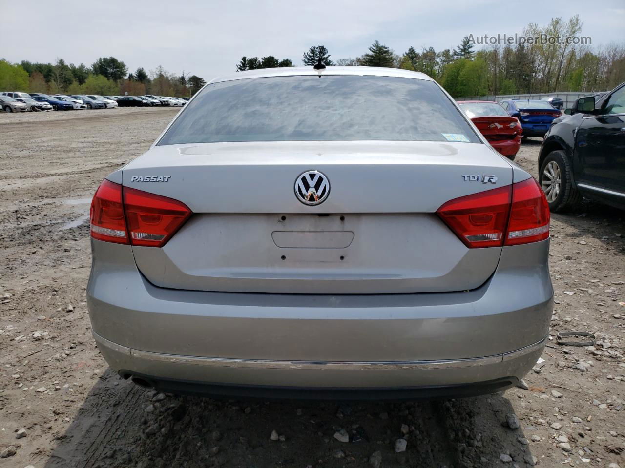 2014 Volkswagen Passat Sel Silver vin: 1VWCN7A39EC100424