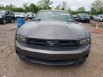 2011 Ford Mustang  Gray vin: 1ZVBP8AM0B5103247