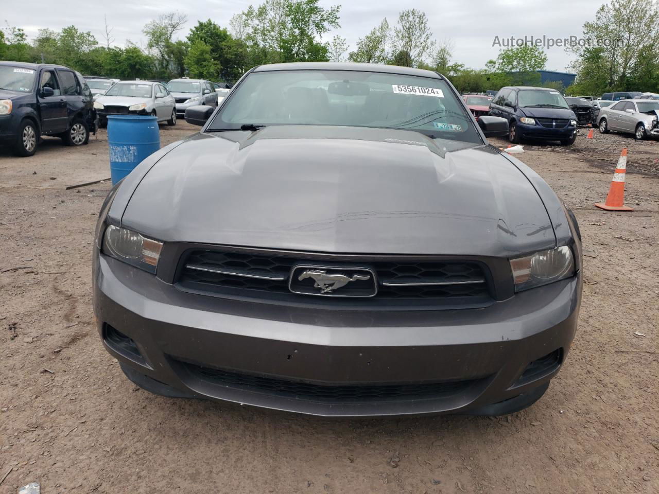 2011 Ford Mustang  Серый vin: 1ZVBP8AM0B5103247