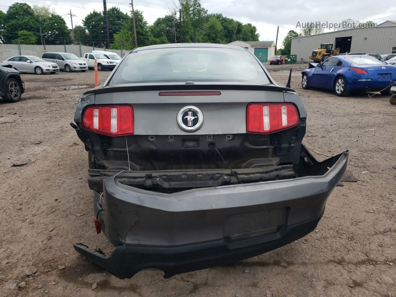 2011 Ford Mustang  Серый vin: 1ZVBP8AM0B5103247