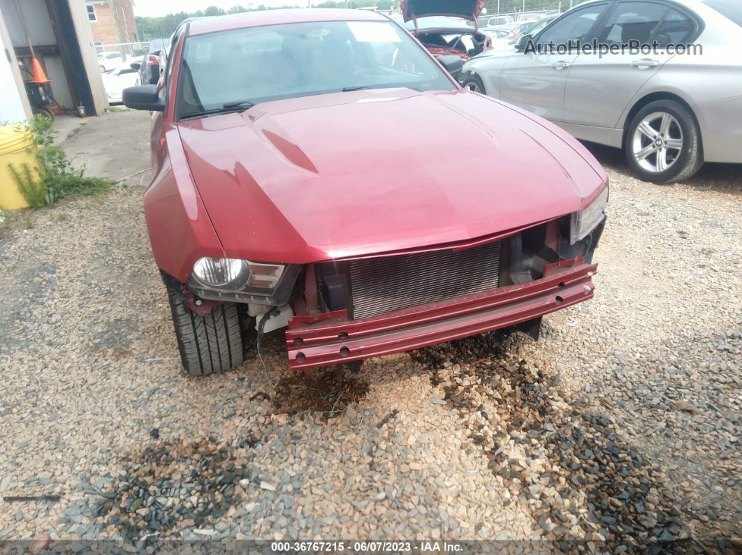 2011 Ford Mustang V6 Красный vin: 1ZVBP8AM0B5103524