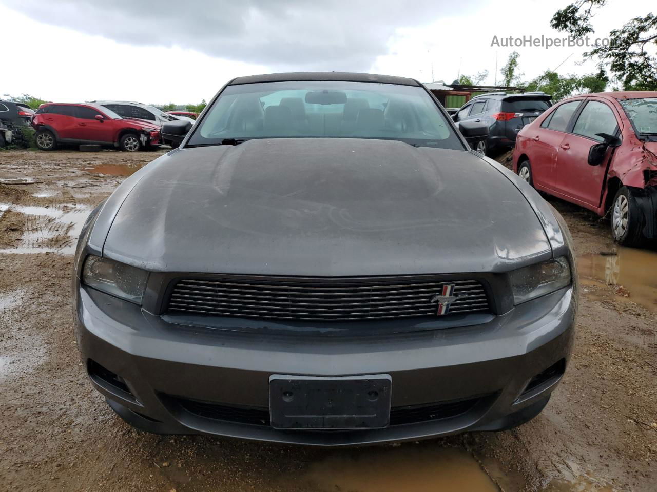 2011 Ford Mustang  Charcoal vin: 1ZVBP8AM0B5107637