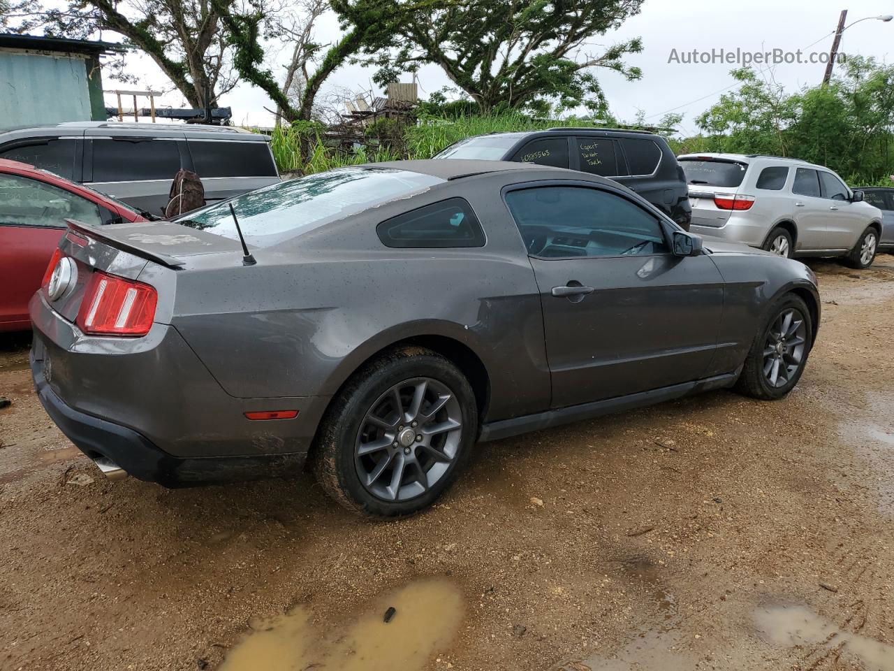 2011 Ford Mustang  Charcoal vin: 1ZVBP8AM0B5107637