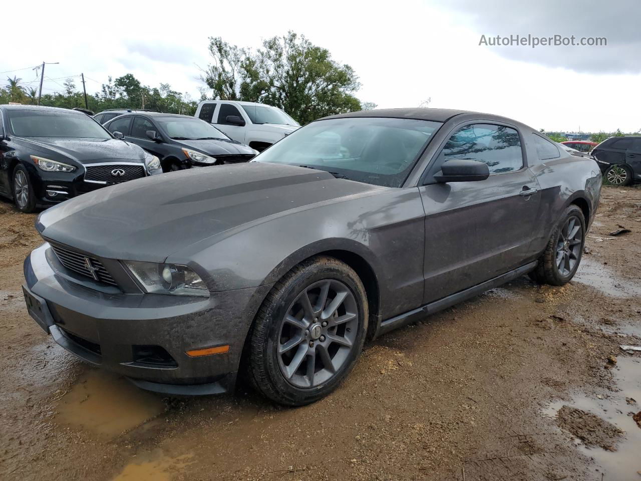 2011 Ford Mustang  Charcoal vin: 1ZVBP8AM0B5107637