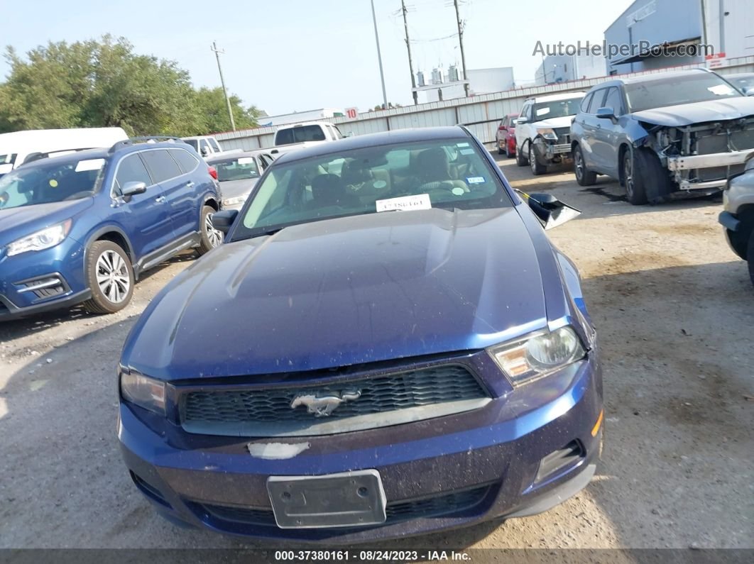 2011 Ford Mustang V6 Blue vin: 1ZVBP8AM0B5108688