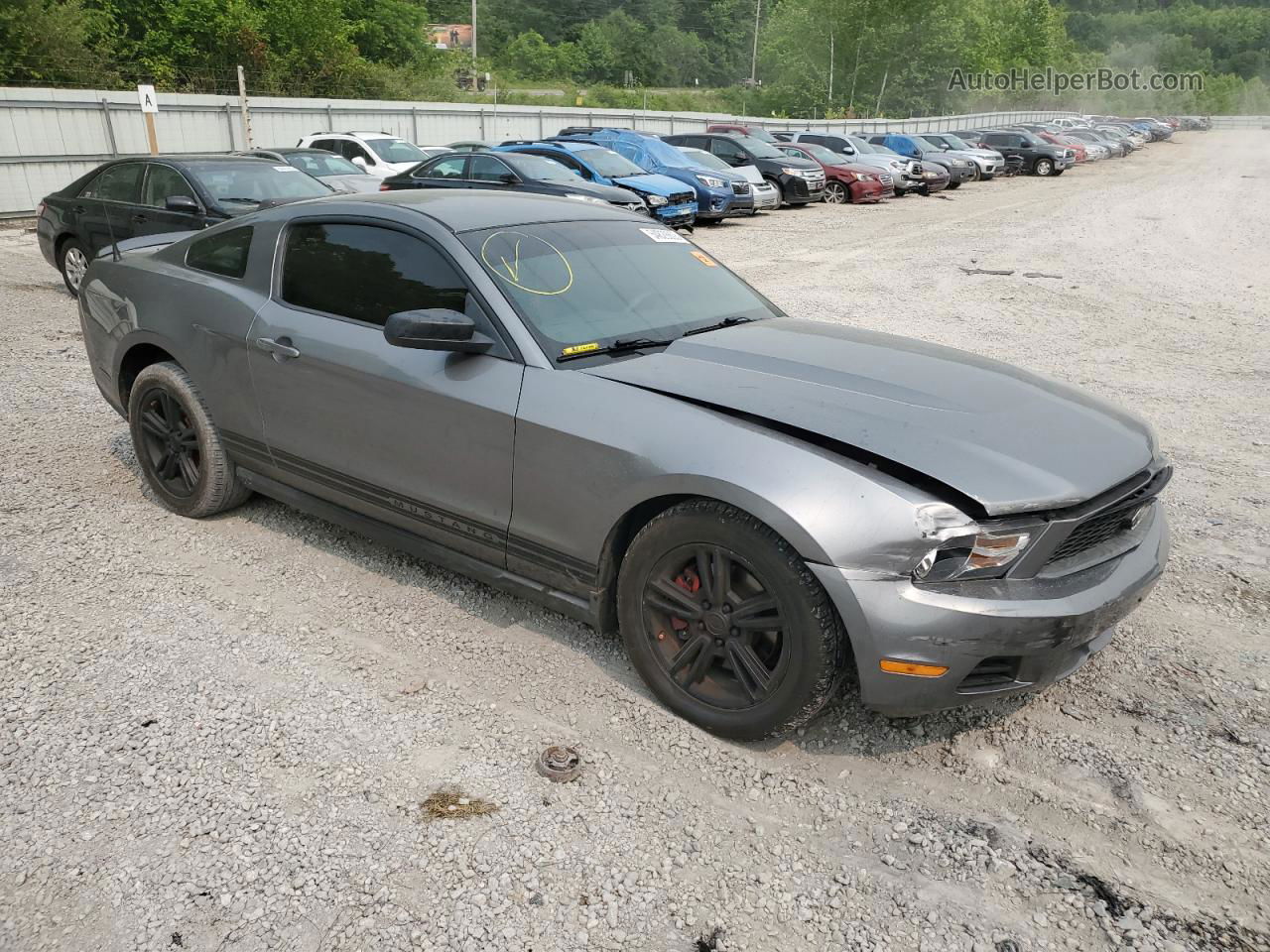 2011 Ford Mustang  Gray vin: 1ZVBP8AM0B5120713