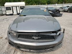 2011 Ford Mustang  Gray vin: 1ZVBP8AM0B5120713