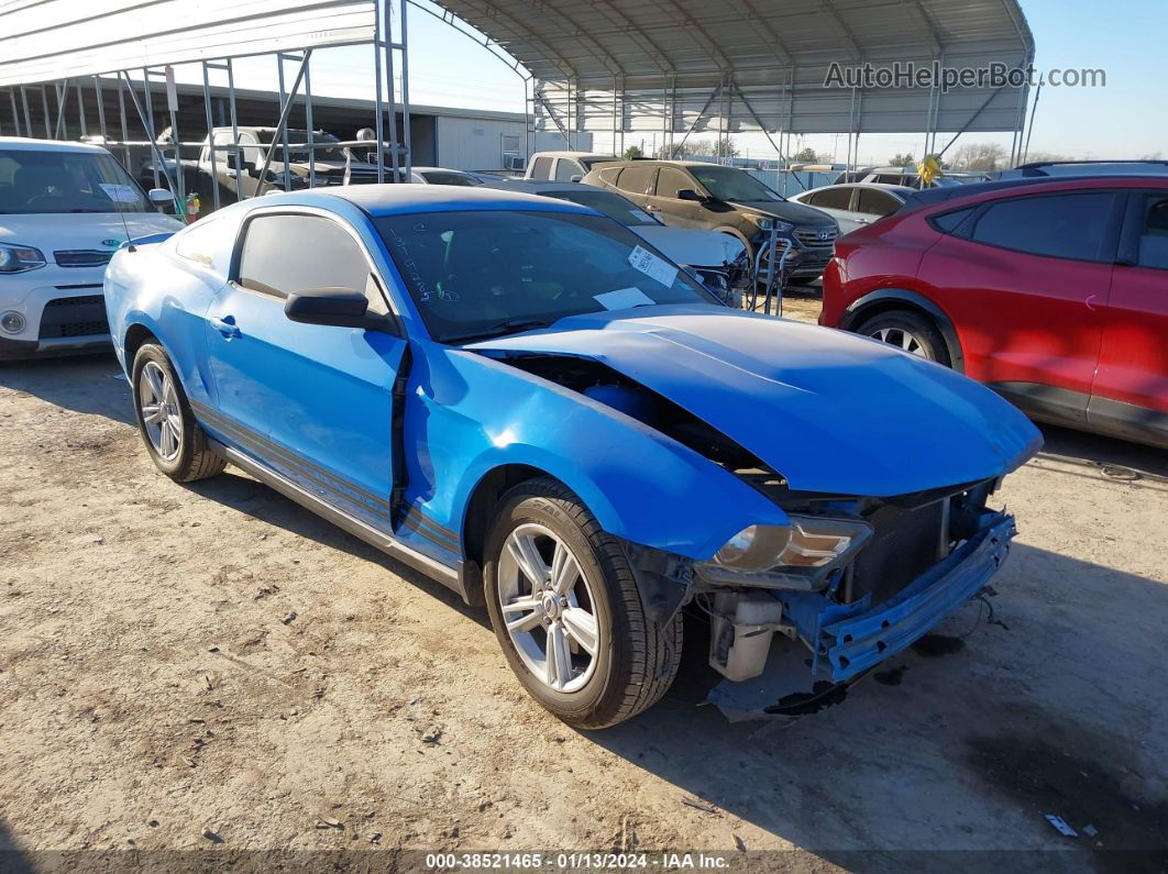 2011 Ford Mustang V6 Blue vin: 1ZVBP8AM0B5153565