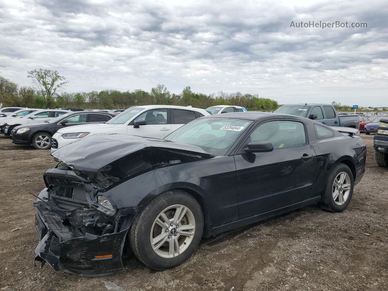 2014 Ford Mustang  Black vin: 1ZVBP8AM0E5204101