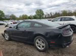 2014 Ford Mustang  Black vin: 1ZVBP8AM0E5204101