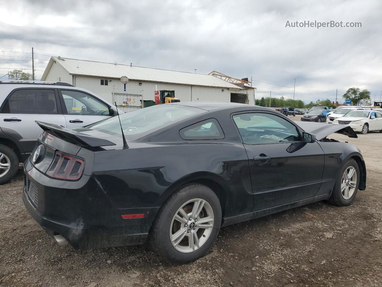 2014 Ford Mustang  Black vin: 1ZVBP8AM0E5204101