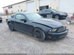 2011 Ford Mustang V6 Black vin: 1ZVBP8AM1B5118730