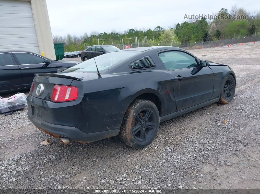 2011 Ford Mustang V6 Black vin: 1ZVBP8AM1B5118730